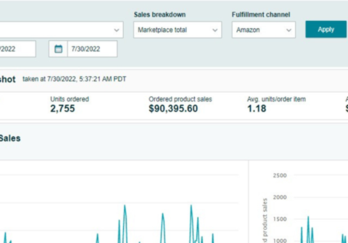 Amazon 5 Figure Sales in the USA - Amazon Brand - XYZ