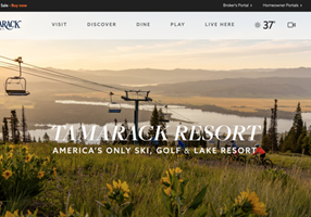 Apptimist Studio Project - Website Development for Tamarack Ski Reosrt