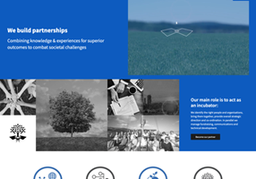 FYB Romania Project - The Synergist