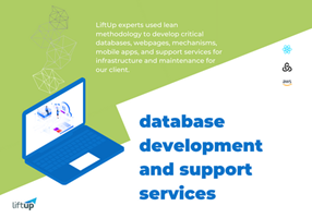 LiftUp Project - Database Development and Support Services
