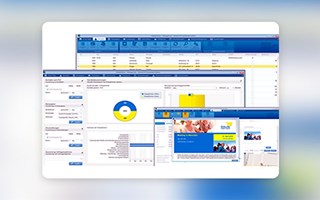 Chudovo OÜ Project - Political CRM Development
