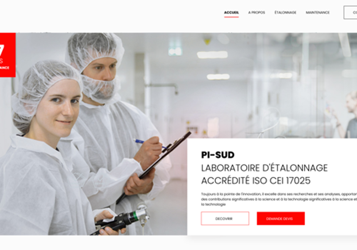 WEB DEVELOPMENT - Process