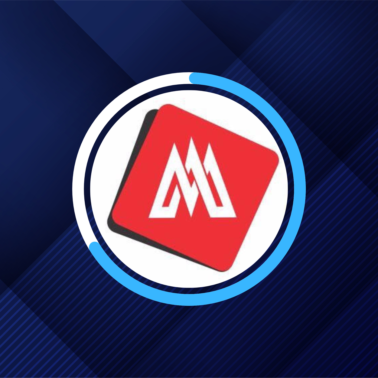 Mediaman Advertising Team