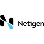 Netigen Logo