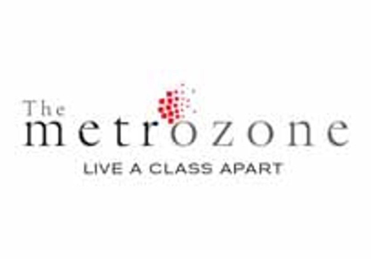 The Metrozone - 