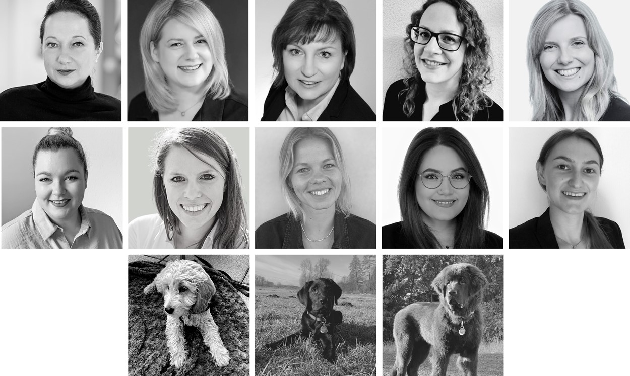 justZARGEScommunicate!'s Team