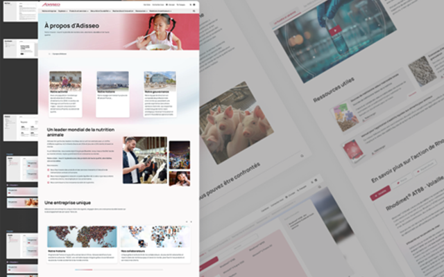 Smotly Project - Adisseo: international website | STRAPI & Next.js