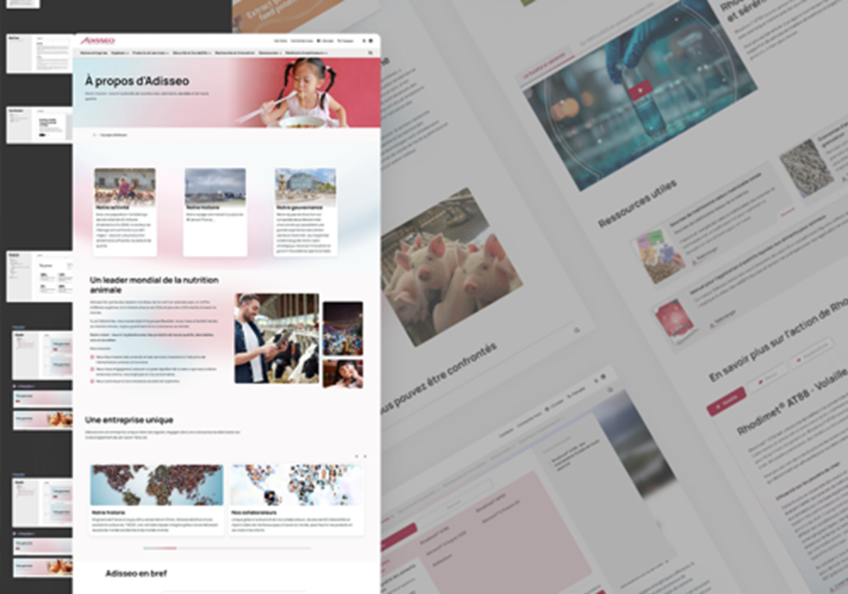 Adisseo: international website | STRAPI & Next.js - 