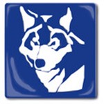 BlueWolf-Produktion
