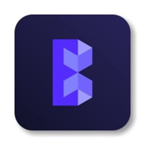 Blockchain Services Labs Logo