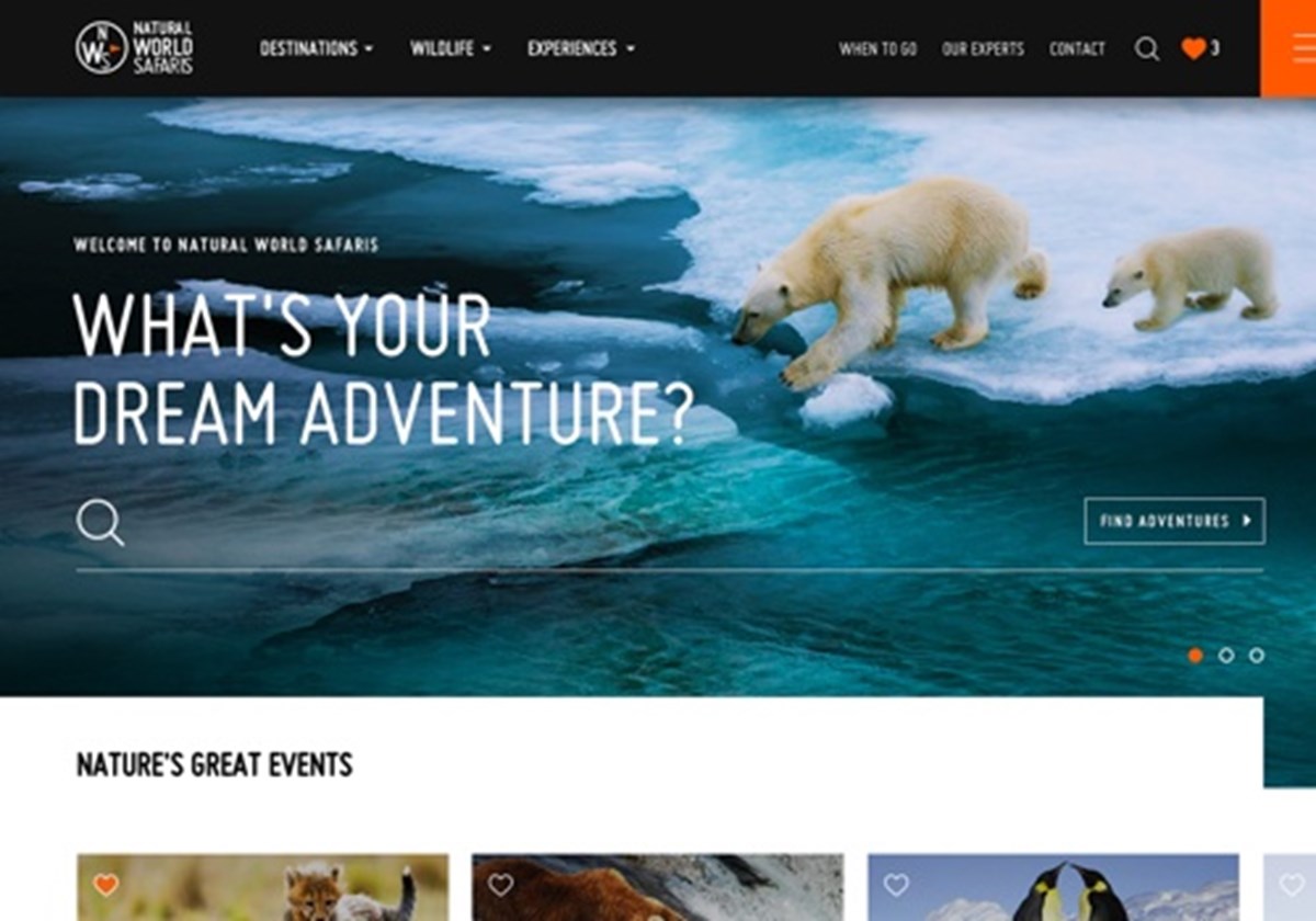 NWS | Website Design & Migration Project - 