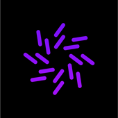 NETZFABRIK GmbH Logo