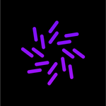 NETZFABRIK GmbH Logo