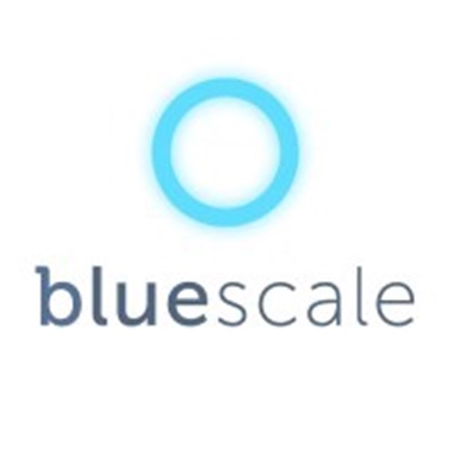 Bluescale Logo