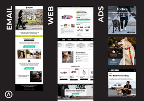 Algofy Project - Optimizing Customer Journeys: From Ads to Web