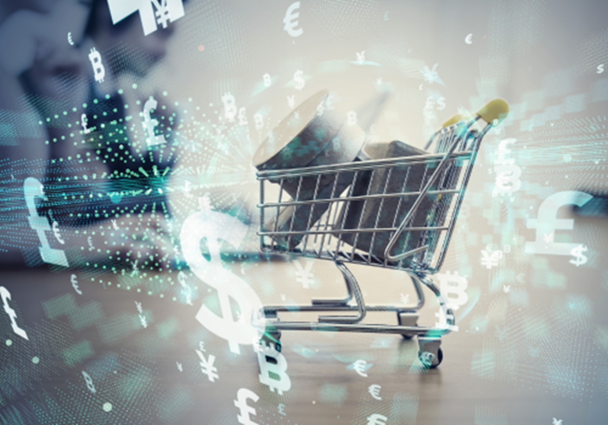 E-Commerce Platform Development - E-Commerce Retailer