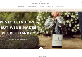 Boost Project - The Magnum Company