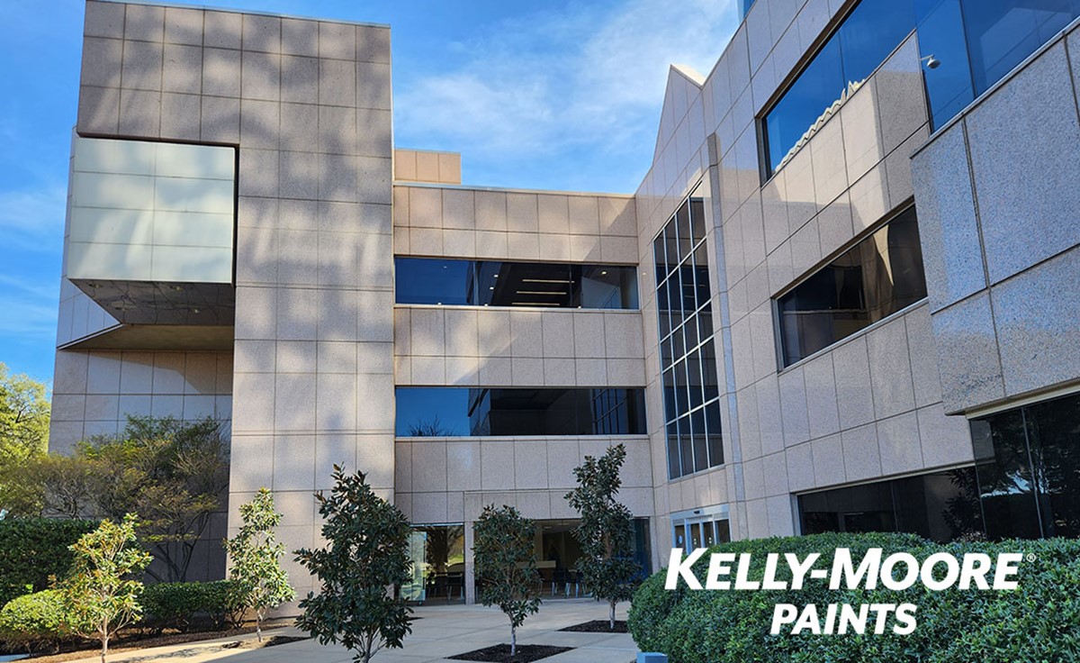 IT Audit Service for Paint Manufacturer