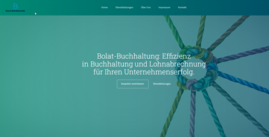 Buzzard-Webdesign Project - Website Launch