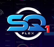 Silk Data Project - SQ1 FLEX How we helped create a mobile application for contactless payment with a band. The SQ1 FLEX mobile app makes it easy to manage all activities for a Flex Band wherever you are. Time: 1 year