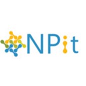 NPit Consulting & Service GmbH Logo
