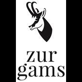 zurgams Kommunikationsagentur GmbH Logo