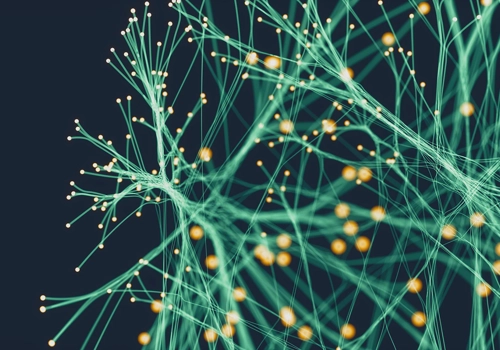 Divectors Project - Building a Data-Driven Healthcare Ecosystem