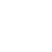 DCisGlobal Logo