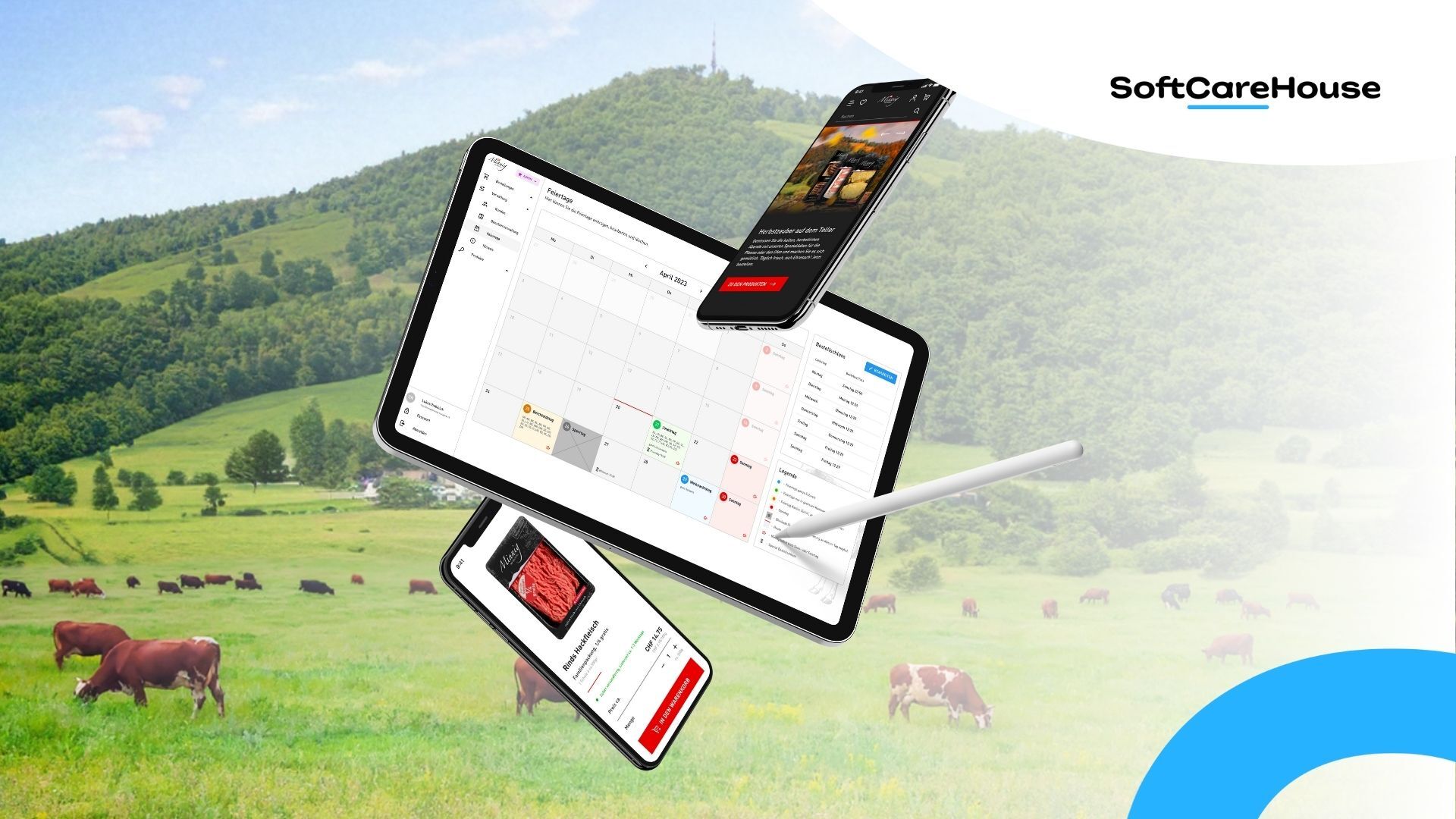 SoftCareHouse Project - B2B sales management system, B2C store and ongoing support