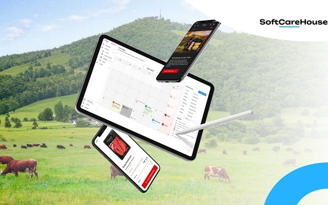 SoftCareHouse Project - B2B sales management system, B2C store and ongoing support