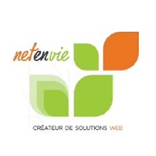 Netenvie Logo