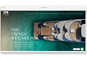 Pineapple Digital Agency Project - Elvamarine, Website Design & Development, Branding