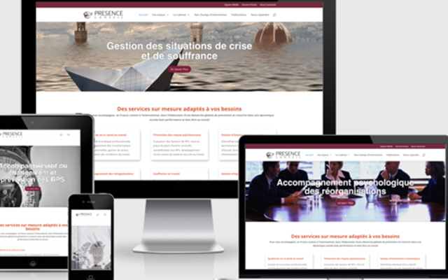 Oscar Referencement Project - Natural SEO for an RPS consulting firm