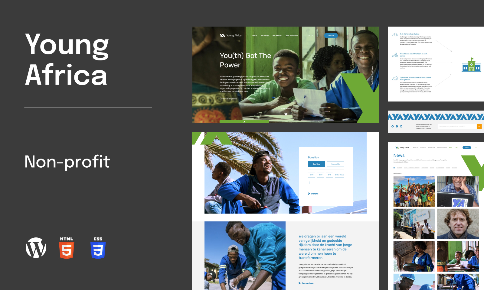 Web Help Agency Project - Young Africa Non-Profit website