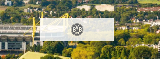 The Reach Group GmbH Project - Echte Liebe: Performantes Affiliate Marketing