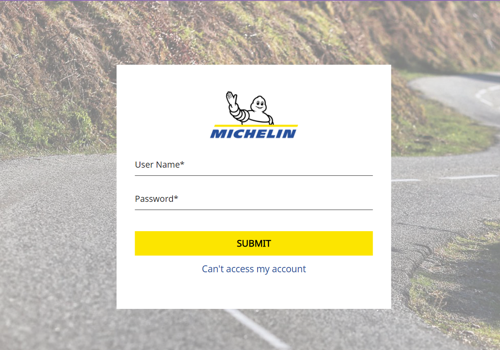Boxinall Project - Michelin tires