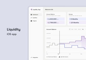Webake Design Project - Financial Webapp