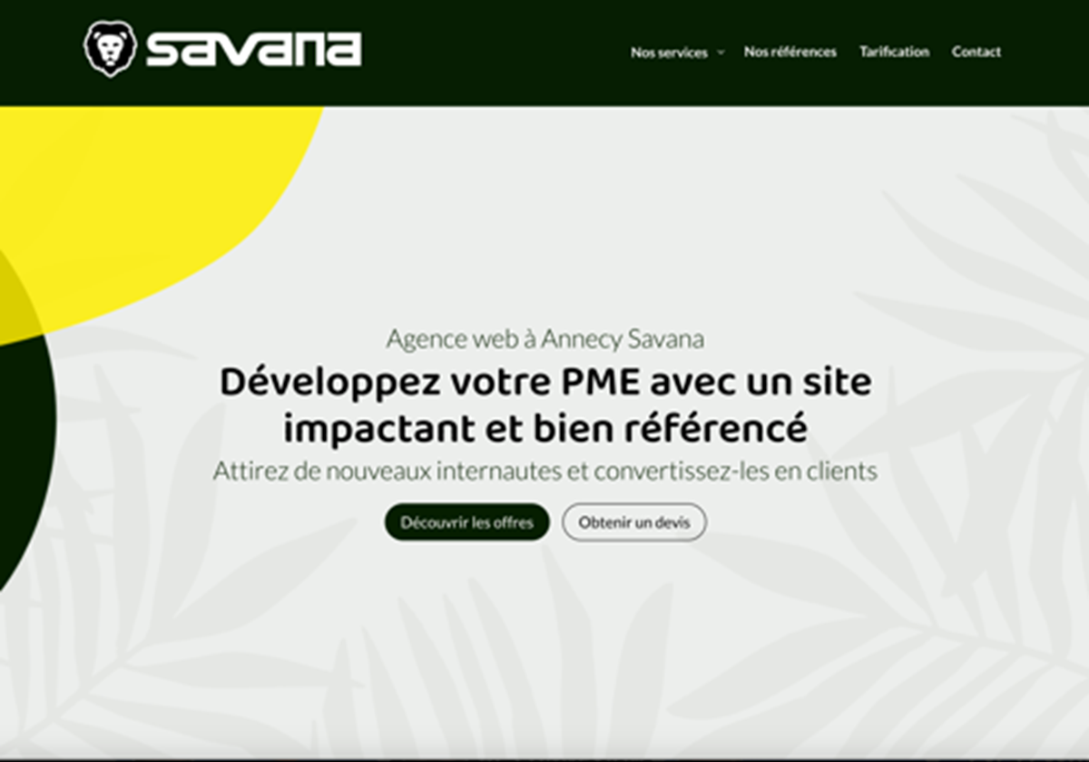 SEO for Savana Webdesign - Savana