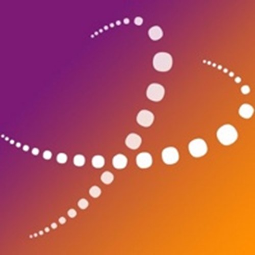 ViaXoft Logo