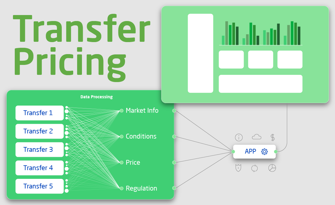 Chudovo OÜ Project - Transaction Manager for Handling Transfer Pricing Challenge