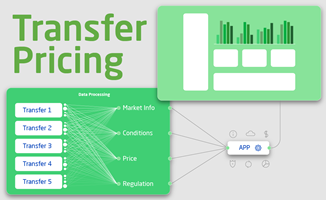 Chudovo OÜ Project - Transaction Manager for Handling Transfer Pricing Challenge