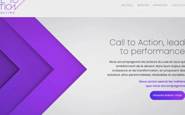 Limbus Studio Project - calltoaction-conseil.com website