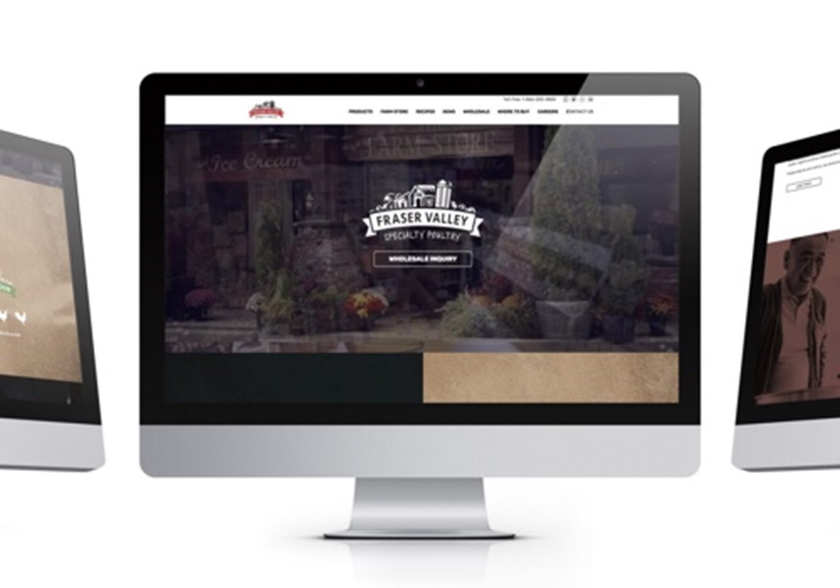 Web Design - 