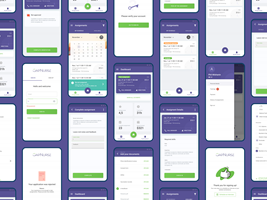 SoftBee Project - Unique HRMS for clinics and hospitals