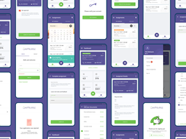 SoftBee Project - Unique HRMS for clinics and hospitals