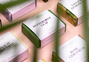 Kindly Made Studio Project - Primal Essence