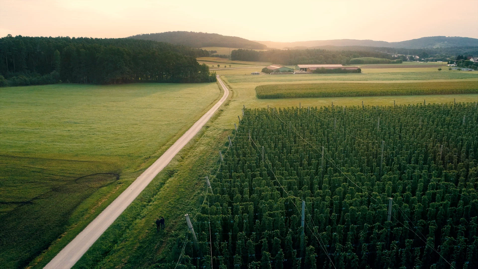 lichtschreiber Project - 100% Bio - 0% Compromise