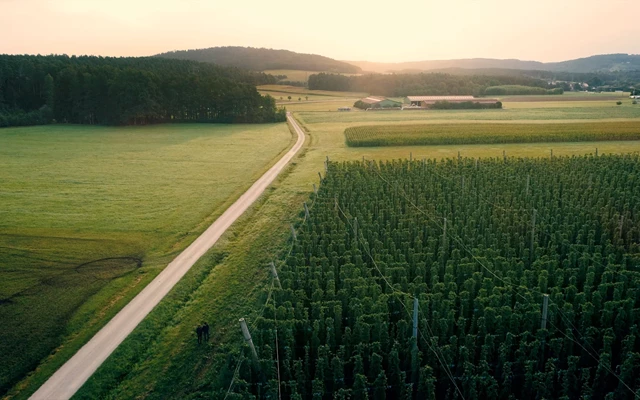 lichtschreiber Project - 100% Bio - 0% Compromise