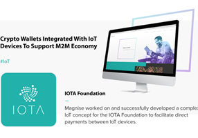 Magnise Project - Direct payments between IoT devices