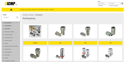 Cyber-Solutions Software GmbH Project - Development of CICMP webshop and introduction of ERP